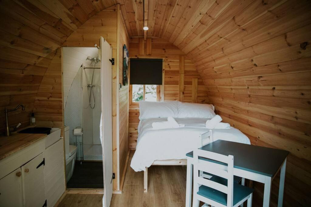 Pine Cosy Winter Cabin - Hot Tub & Log Burner Barmouth Exterior foto